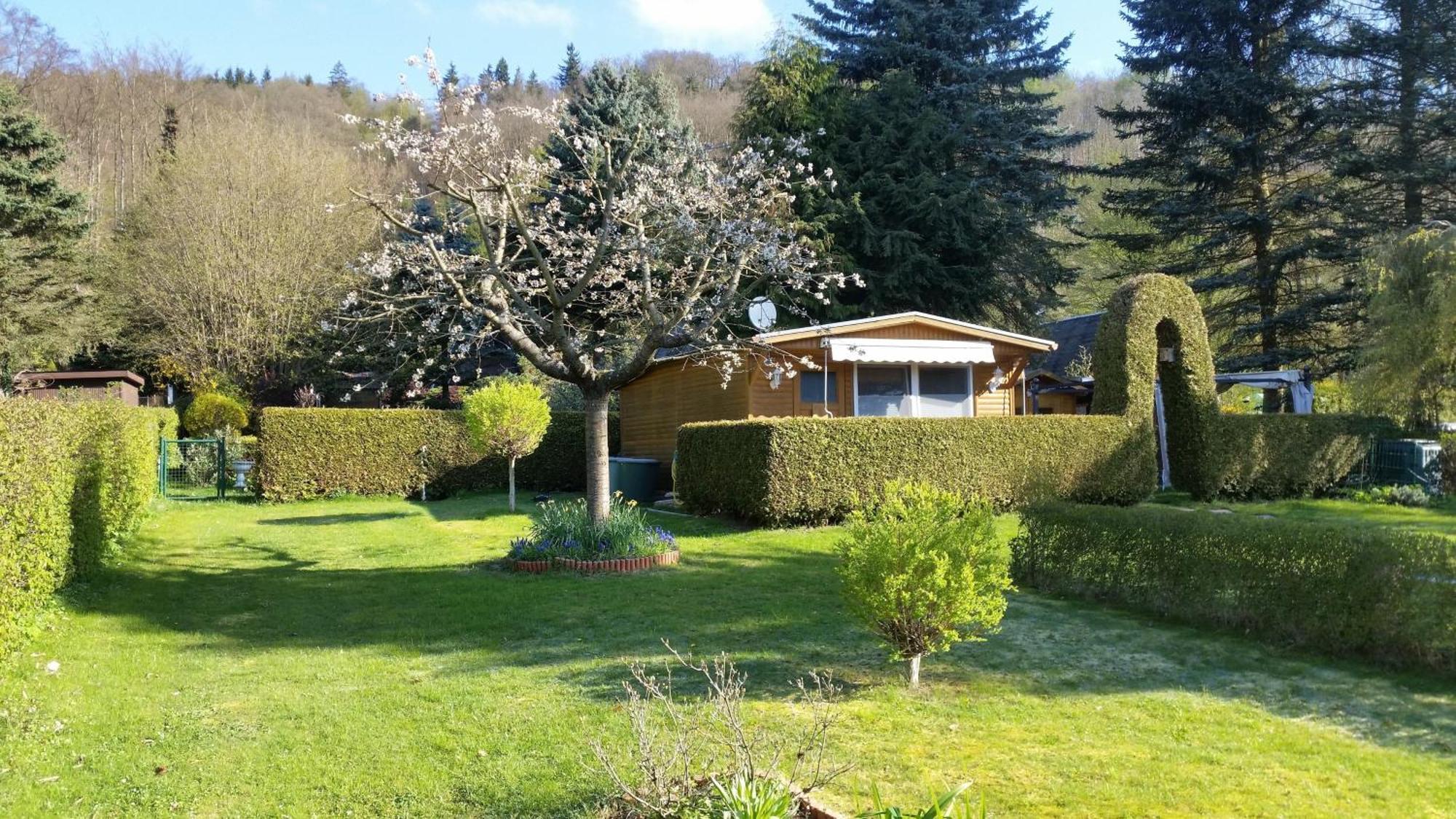 Poolhaus Im Suedharz Villa Harztor ภายนอก รูปภาพ
